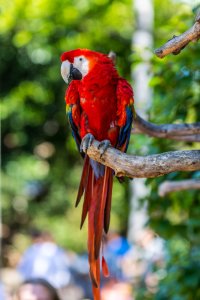 san diego zoo_009.jpg