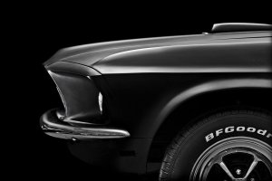 Mustang Profile Final_1200.jpg