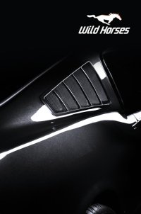 Wild Horses Cover comp Flat v1_1200.jpg