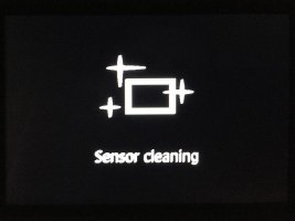 Canon 5D Mark III - old Sensor Cleaning Screen.jpg