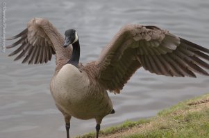 4.28.13 Stoneridge Park-2.jpg