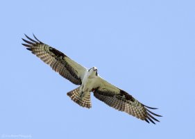 Down the Barrell-0676.JPG