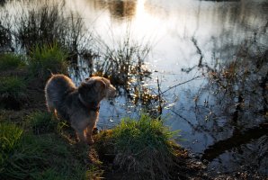 Polly & Pond 2.jpg