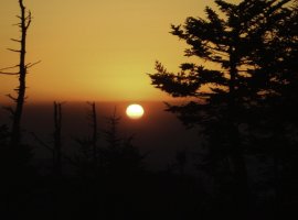 Roan Sunset.jpg