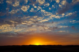 IMG_6199 (Large).jpg