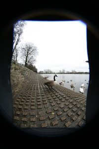 g2-s.jpg