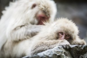 Japan 201320130516531-.jpg