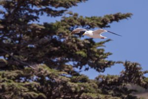 IMG_0067.jpg