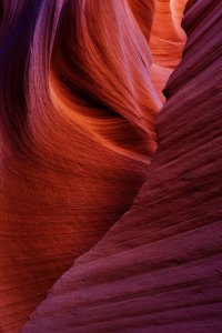 Antelope 18May2013.JPG