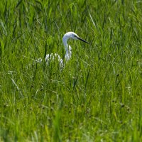 forums-285.jpg