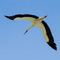 forums-295.jpg