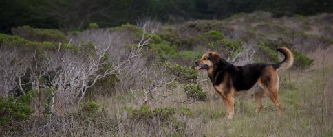 NS0C1307 - Version 2.jpg