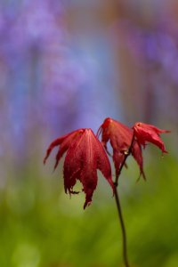 May 24, 2013 copy.jpg