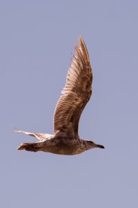 IMG_0075.jpg