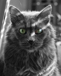 9Z9C9378-Edit-Edit.jpg