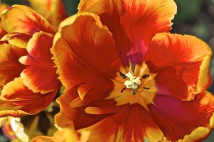 IMG_3618 - Version 2.jpg