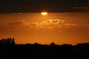 first time lucky.jpg