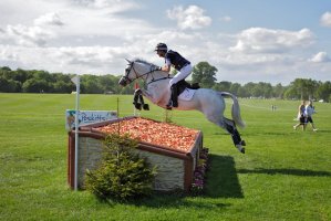 Sir Mark Todd - Bramham SF.jpg