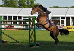 James - Six Bar Winner SF.jpg