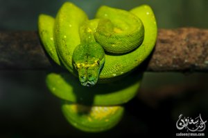 IMG_4355.jpg