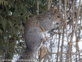IMG_5288.jpg