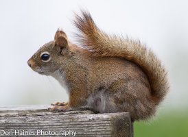 IMG_7558.jpg