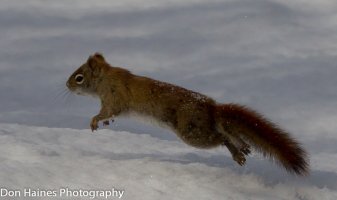IMG_5947.jpg