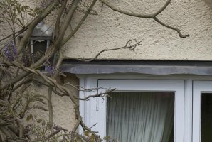 24-70 @ 50 mid frame 100%.jpg