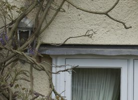 50mm mid frame 100%.jpg