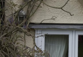 24-70 @ 42 100% mid frame.jpg