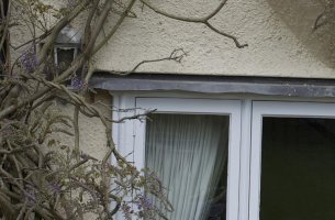 40mm 100% crop mid frame.jpg