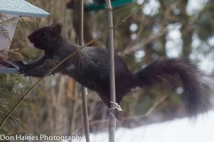 IMG_5983.jpg