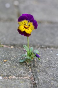 IMG_8912_ji_small.jpg