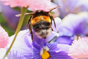 IMG_9749_ji_small.jpg