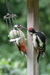 IMG_1773r1 v1 h1080.jpg