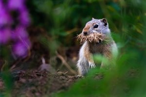 IMG_4925.jpg