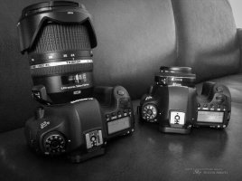 Cameras.jpg