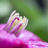 023 Outer Point-2.jpg