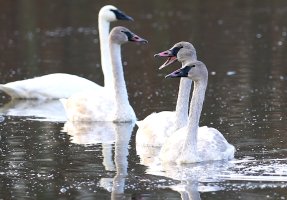 2012-10-21 at 08-59-32.jpg