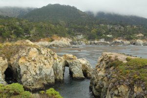 Point Lobos.JPG