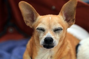 1F3A7843 paco bday.jpg