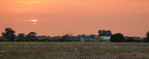 Sandhill Farm Sunset SF.jpg