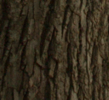 Screen Shot 2013-07-16 at 9.05.11 PM.png