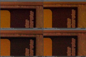 sraw_vs_raw_7D_01_06.jpg