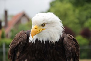 IMG_3175 (Large).JPG