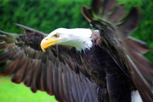 IMG_3128_2 (Large).jpg