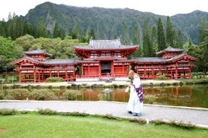 IMG_6090-dpp-no crop_2.jpg