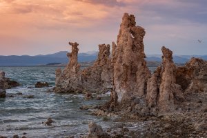 Mono Lake.jpg