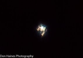 IMG_9300-4.jpg