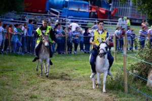 Those who want to win.jpg